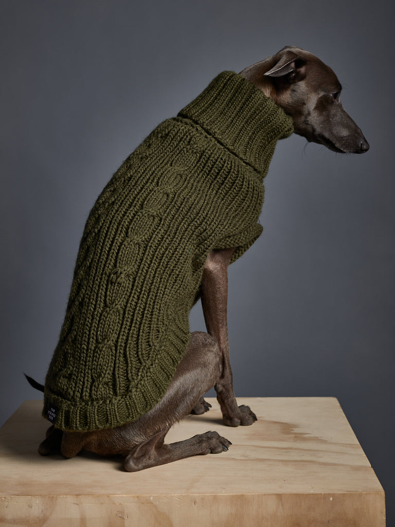 Italian Greyhound / Whippet Green Knit Turtleneck Vest MALIBU