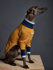 Italian Greyhound / Whippet Mustard Sweater with Striped Neckline and Cuffs CARSON