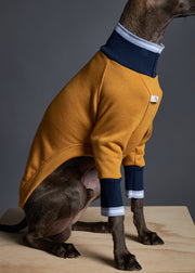 Italian Greyhound / Whippet Mustard Sweater with Striped Neckline and Cuffs CARSON