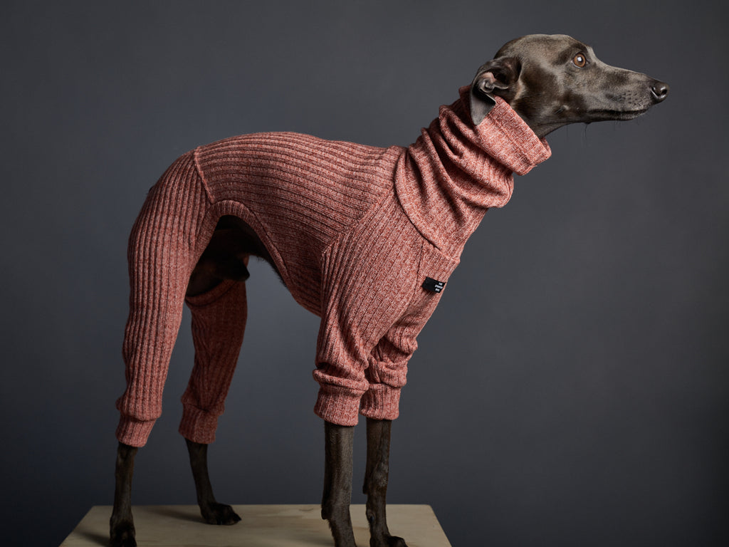 Italian Greyhound / Whippet Orange Turtleneck Jumpsuit SANTA MONICA