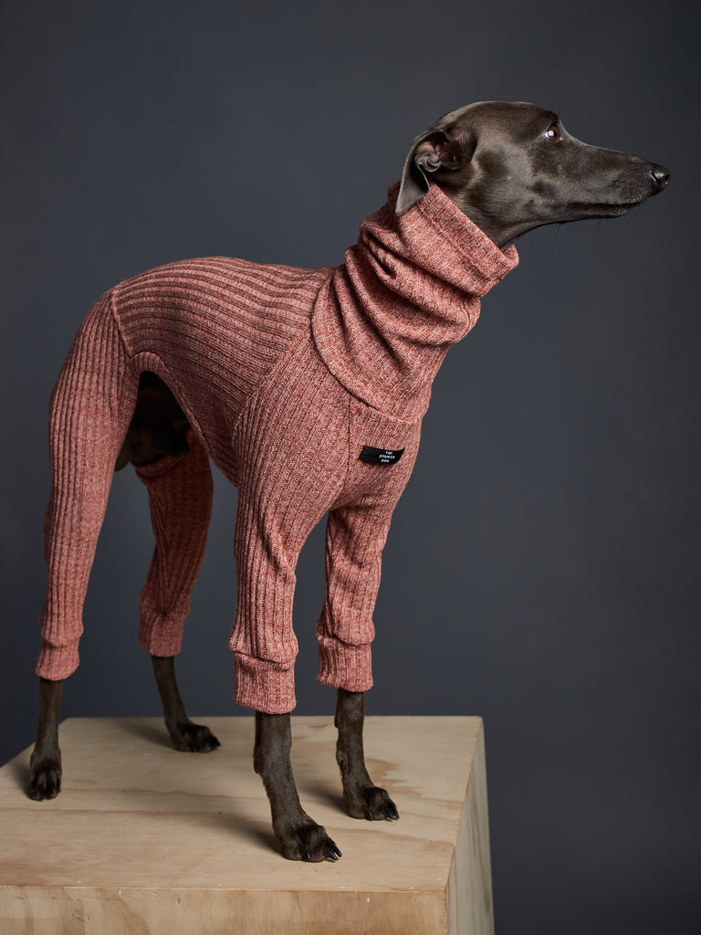 Italian Greyhound / Whippet Orange Turtleneck Jumpsuit SANTA MONICA