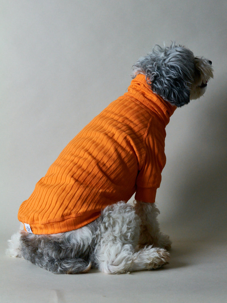 Orange Ribbed Turtleneck Sweater PRISMA