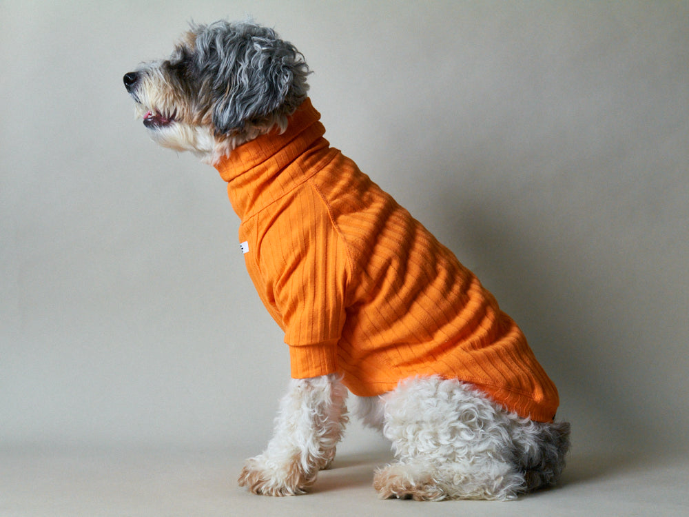 Orange Ribbed Turtleneck Sweater PRISMA