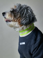 Heather Blue Fleece Sweater with Beige and Neon Green Neckline and Cuffs INDIGO