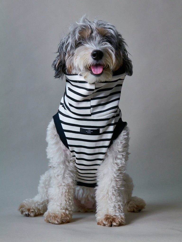 Striped Black & White Turtleneck Vest SHADE