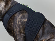 Neoprene Harness with Neon and Reflective Stripe LOXFORD