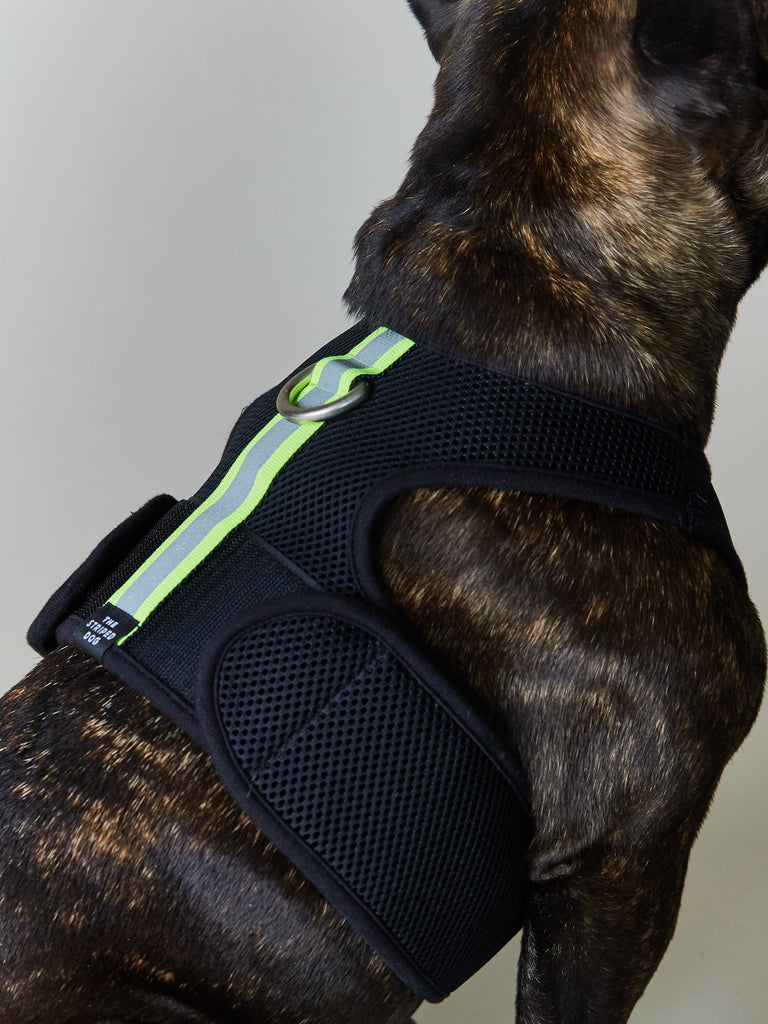 Neoprene Harness with Neon and Reflective Stripe LOXFORD