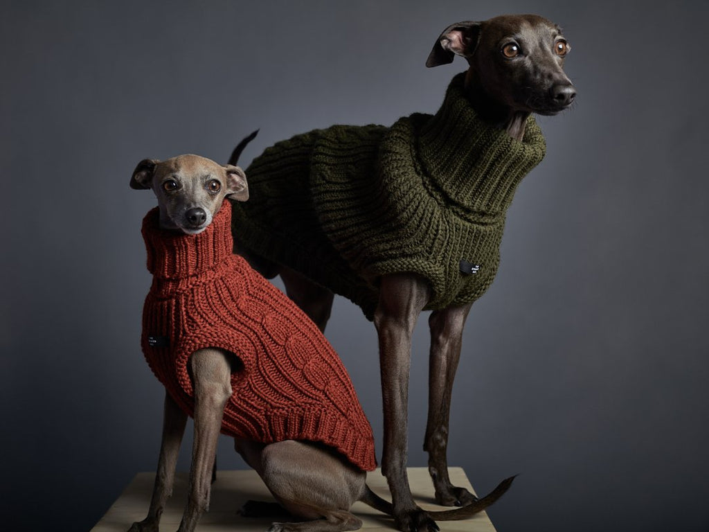 Italian Greyhound / Whippet Terracotta Knit Turtleneck Vest MALIBU