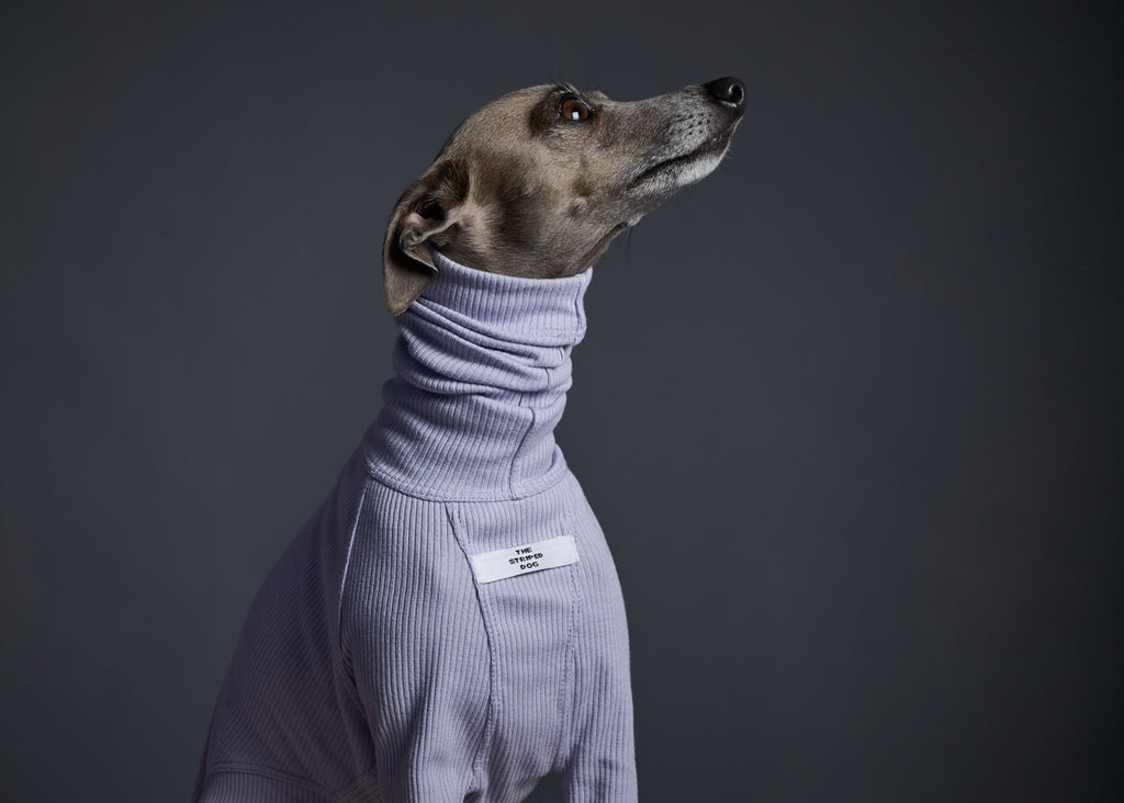 Italian Greyhound / Whippet Lilac Ribbed Turtleneck Sweater BEVERLY