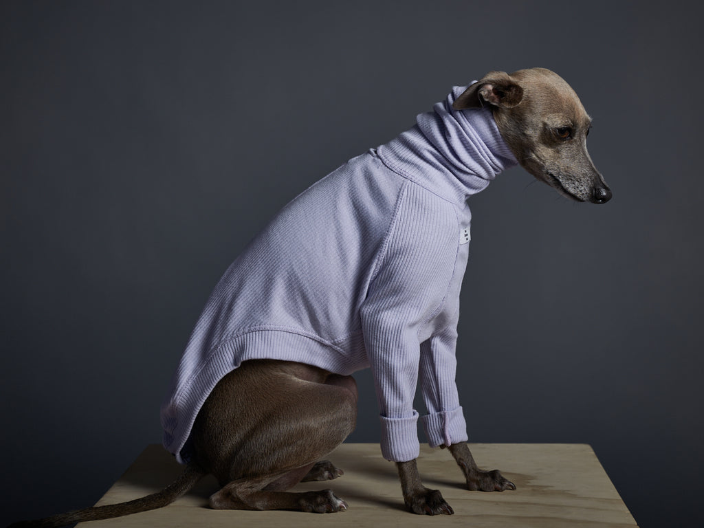 Italian Greyhound / Whippet Lilac Ribbed Turtleneck Sweater BEVERLY