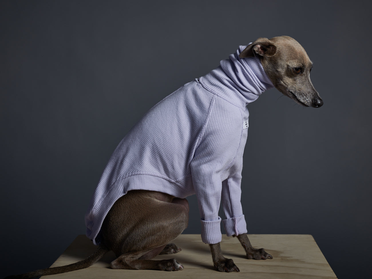 Lilac Ribbed Turtleneck Sweater for Italian Greyhound and Whippet