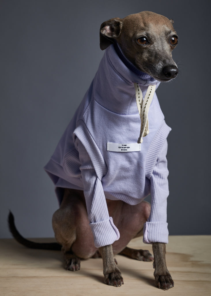 Italian Greyhound / Whippet Lilac Turtleneck Vest MELROSE