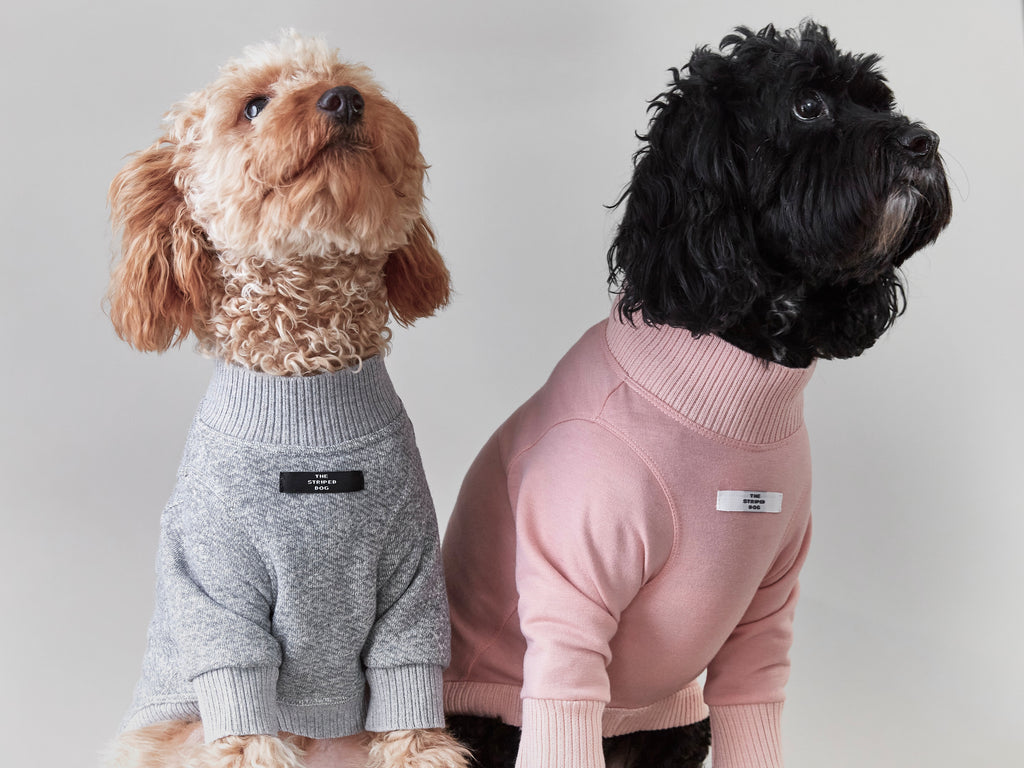 Crew Neck Sweater PADDINGTON