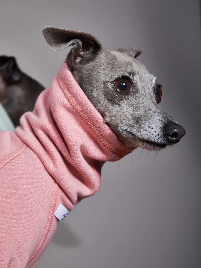 Italian Greyhound / Whippet Pink Turtleneck Jumpsuit RIVERSIDE