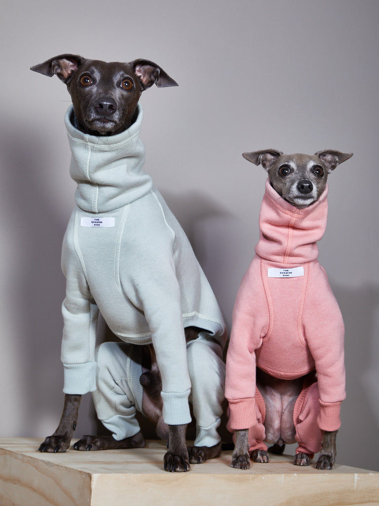 Italian Greyhound / Whippet Mint Green Turtleneck Jumpsuit RIVERSIDE