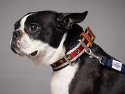 Striped Collar