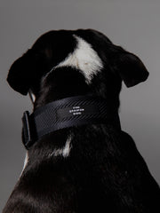 ST MARKS Collar