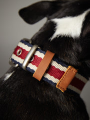 Striped Collar